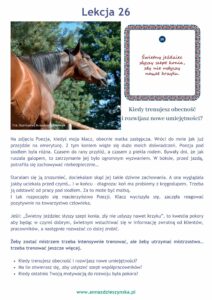 Lekcje od koni